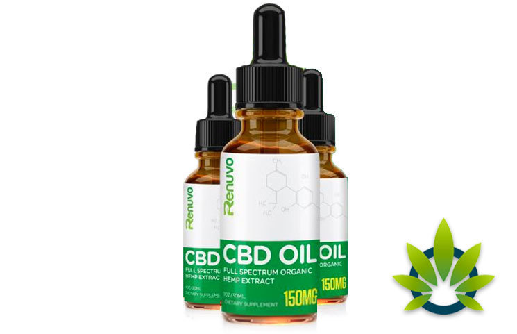 Best CBD Gummies Review