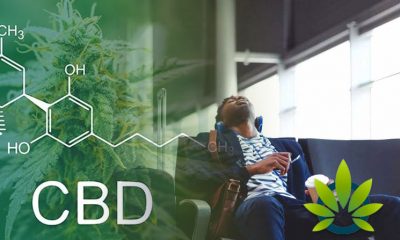 CBD for Jet Lag: The Efficacy of Cannabidiol in Treating Traveling Symptoms