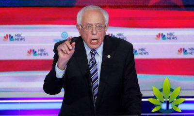 2020-Democratic-Candidate-Bernie-Sanders-US-Is-Not-Ready-for-Decriminalization-Excluding-Marijuana