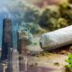 A-Village-in-Chicago-May-Ban-Use-of-Recreational-Marijuana-for-A-Minimum-of-One-Year