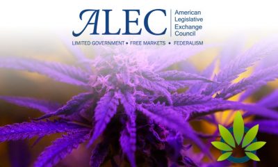 American Legislative Exchange Council (ALEC) Proposes CBD Related Banking Bills