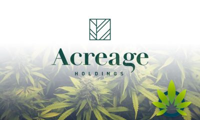 New Acreage Product Lines Live Resin Project, Natural Wonder and The Botanist CBD Coming Soon
