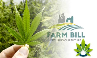 Analyzing the Cannabis Industry and CBD Changes Since the 2018 Farm Bill Pass