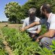 Hemp Farming Sustainability: Are US Hemp Farmer's Practices Setup for Long-Term Durability?