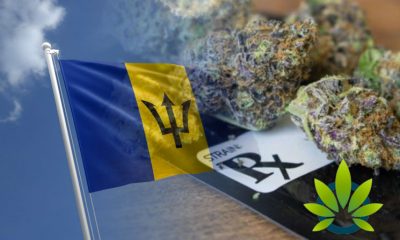 Attorney General in Barbados Pledges to Introduce a Medical Marijuana Bill in Parliament