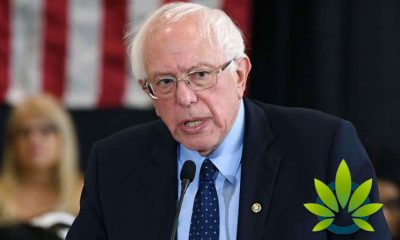 Bernie Sanders Goes on Joe Rogan Podcast to Say Cannabis is The Only Drug to Decriminalize