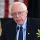 Bernie Sanders Goes on Joe Rogan Podcast to Say Cannabis is The Only Drug to Decriminalize