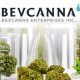 BevCanna's Lab Tests Reveal “Deeper Green” Cannabis Powder Abides by California’s Laws