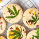 University of Minnesota Study: CBD Absorption Drastically Increases Upon Eating Fatty Food Meals