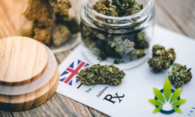 CBD Patients in Britain Turning to Private Clinics for Cannabis Medication