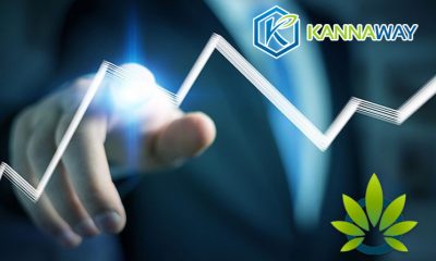 CBD Pioneer Medical Marijuana Inc. Records Over 30% Hike in the Sales Thanks to Kannaway MLM