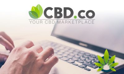 CBD.co Launches One-Stop-Shop for Cannabidiol Consumers, Vendors and Wholesalers