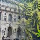 California Supreme Court Ruling on San Diego Cannabis Law Gives Businesses Uncertain Analysis