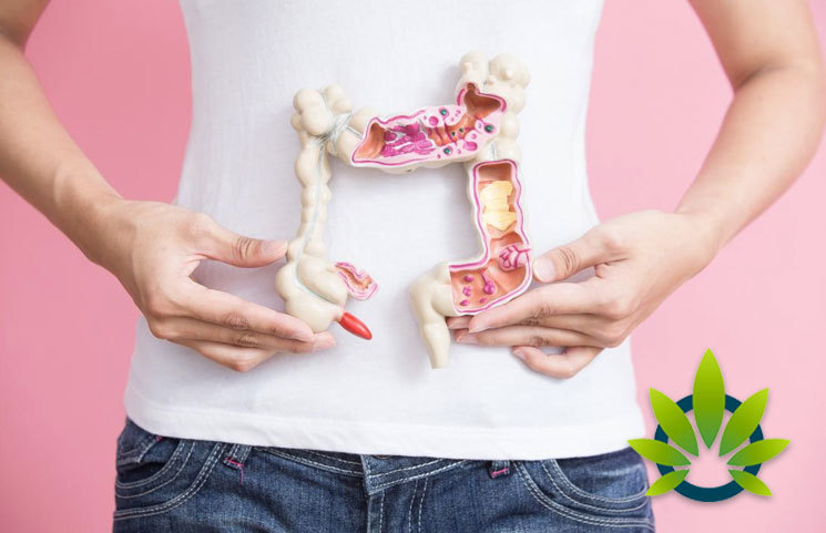 Can Medical Cannabis Help Crohn’s and Colitis Gastrointestinal (GI) Inflammation Conditions?