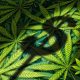 Canada-Based Cannabis CBD Firm, Harvest One's Satipharm, to Establish Base in Dublin, Ireland