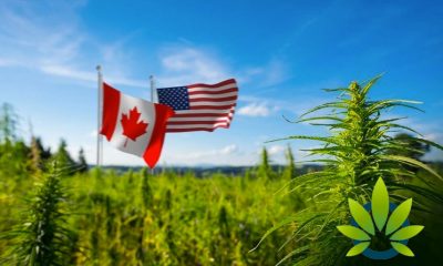 Canadian Cannabis Giant Cronos Group Sees Biggest Sales Potential in the US CBD Market