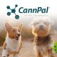 CannPal Announces Launch of Phase 2 Pilot Study of CBD-Derived Osteoarthritis Drug for Dogs