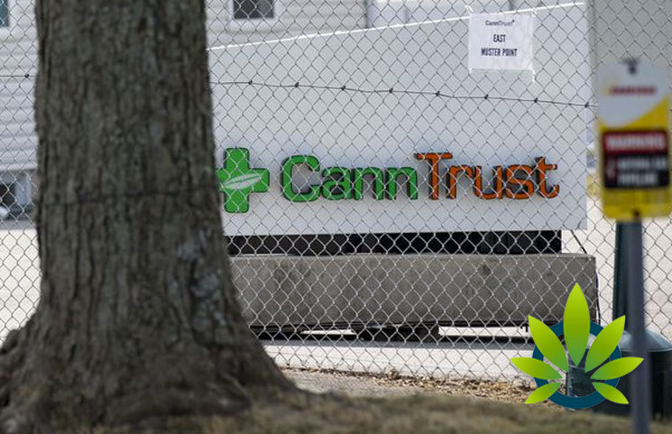 CannTrust Allegedly Relied on Black Market Cannabis Seeds for Production, Further Hurting its Rep