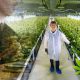M3 Ventures Cannabis Company Fined $50,000 By Massachusetts Regulators Over Pesticide Use