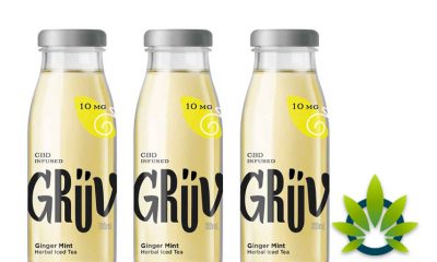 CBD-Infused Matcha Green Iced Teas Are Coming to the US via Canada-Based BevCanna Enterprises