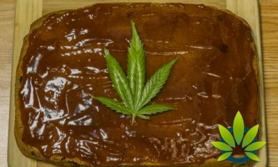 Cannabis-Laced Birthday Cake Gets Woman Arrested After 15 People Fall Ill Who Ate It