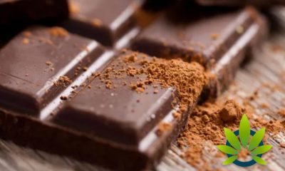 Cannabis Researchers Try to Evaluable Potency of Edibles, But Chocolate Impedes Testing Progress