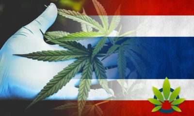 Thailand Converts Seized Cannabis into Medical Marijuana Supply, Over 600,000 Cannabis Oil Bottles Worth