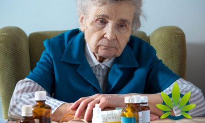 Cannabis Use Side Effects for Seniors