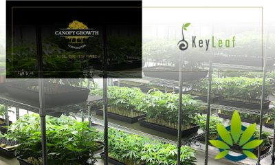 Canopy Growth’s Subsidiary, KeyLeaf Life Sciences, Acquires Health Canada License for Extraction Facility