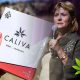 CBD Company Chairman of Caliva, Carol Bartz, Shares Views on Cannabis Market's Growth