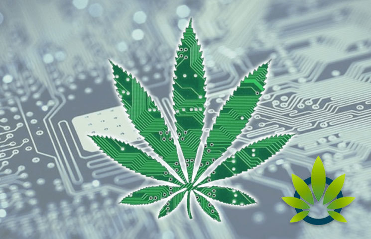 Complaint Filed Against Tilt Holdings Marijuana Technology Firm Over Spam Marketing Tactics