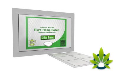 Complete-Review-of-the-Pure-Hemp-Patch