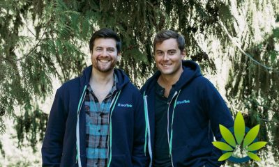 Completed $35 Million Series B Funding Round for LeafLink Will Be Used Towards Scaling Company