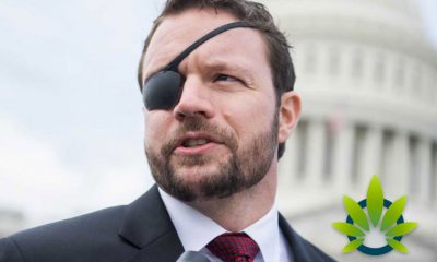 Congressman Dan Crenshaw Supports Legal Cannabis Federally, Despite Not Voting For It