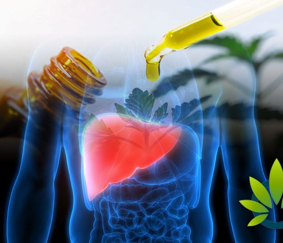 University of Arkansas for Medical Science Studies Connection of Chronic CBD Use and Liver Cancer