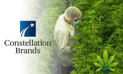 Constellation-Brands-Predicts-Losing-Over-50-Million-Towards-Its-Canopy-Growth-Investment