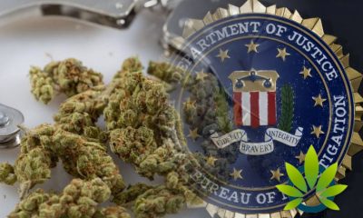 Corrupt-Public-Officials-Lead-FBI-To-Crack-Down-on-Marijuana-Industry
