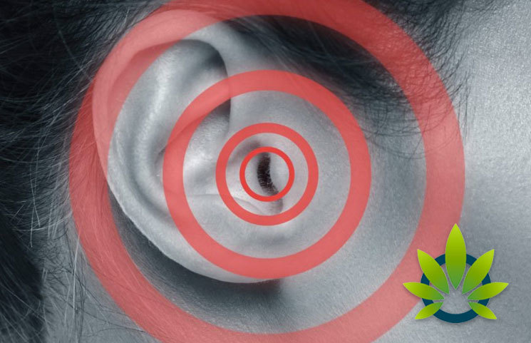 Could-CBD-Relieve-Tinnitus