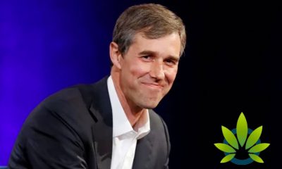 Democratic Presidential Candidate, Beto O’Rourke Gets an A+ for His Marijuana Stance