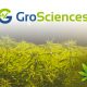 Digipaths-GroSciences-Moves-Further-With-Testing-For-Its-Patent-Pending-Plant-Derived-Pesticide