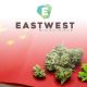 EastWest Bioscience to Launch Hemp Based Products in China