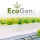 EcoGen Labs Chief Growth Officer and Cannabis Entrepreneur: THC has Lost Its Glory, CBD is Now the Product