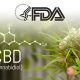 FDA Official Discusses the Need for More CBD Research to Collect Better Cannabidiol Data