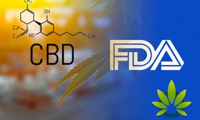 FDA to Favor CBD for Over-the-Counter Use Upon Research-Backed Findings Only