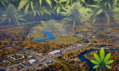 Fairbanks City Council Votes on City’s First On-Site Cannabis Use Retailer