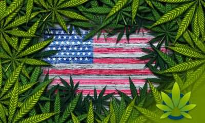 Cannabis Industry’s Fate May Lie in the Hands of the 2020 US Presidential Election