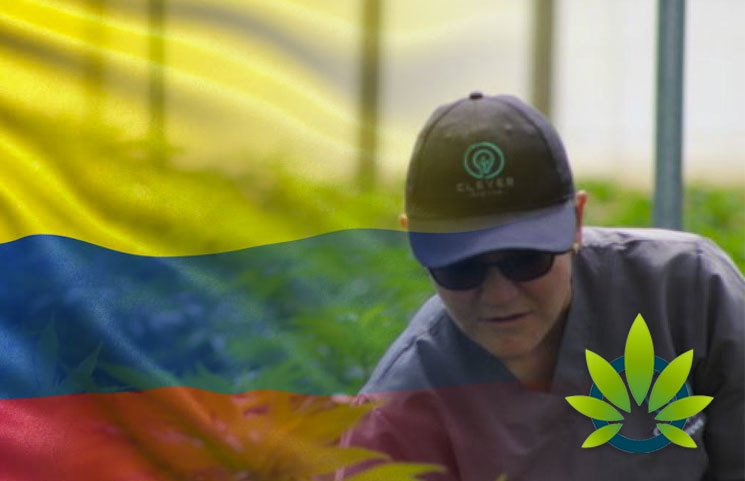 First CBD Products from Colombia Will Soon Be Available to Purchase in UK