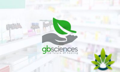 GB Sciences Louisiana Partners Will Now Sell Cannabis Products at Nine Licensed Pharmacies