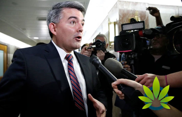 GOP Super Pac Trusts Marijuana Legalization Action Can Push Senator, Cory Gardner into Political Survival