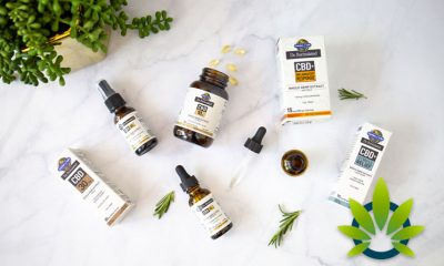 Garden of Life's New Line of CBD Products (Drops, SoftGels and Spray) is THC-Free Per Labdoor Test